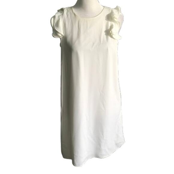 Naked Zebra Dresses & Skirts - Naked Zebra Ruffle Sleeve Dress Size S Elegant, Feminine, Minimalist Cottagecore